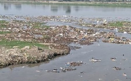 मां यमुना पुकार रही हैं: आइए, इस रविवार यानि कल उन्हें फिर से जीवन दें!