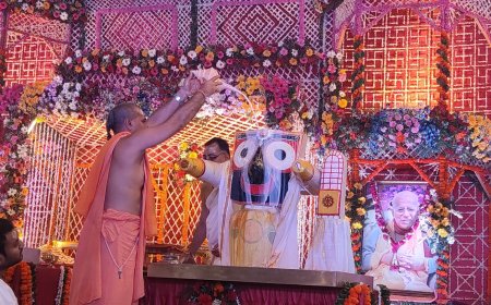 गजानन स्वरूप में श्रीजगन्नाथ जी का भव्य अभिषेक, भक्तिमय माहौल में बही भक्ति की गंगा