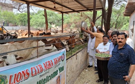 गौसेवा को समर्पित लॉयंस क्लब आगरा आकाश का अनूठा सेवा प्रकल्प