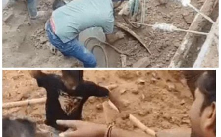 बारिश में धंसी सड़क के गड्ढे में गिरने से तीन युवकों की जान पर बन आई, जल निगम की लापरवाही उजागर