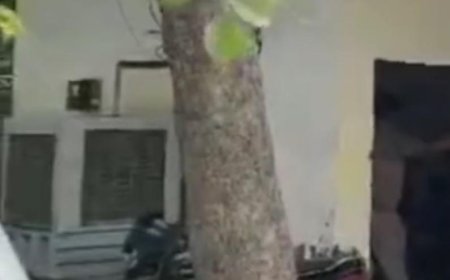 आगरा में बरेली की नारकोटिक्स टीम का छापा, नशीली दवाओं का जखीरा बरामद, दो कारोबारी हिरासत में