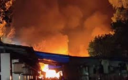 दिल्ली के मोतीनगर के बेंक्वेट हाल में भीषण आग से अफरातफरी