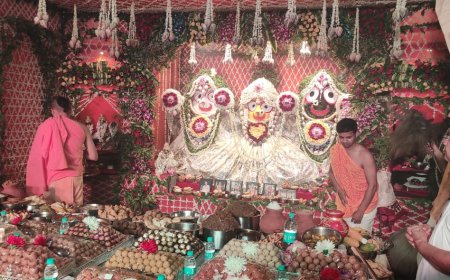 नयन उत्सव में भक्तों ने पाए श्रीजगन्नाथ के नवयौवन दर्शन, 15 दिन बाद खुले पट, रथयात्रा आज