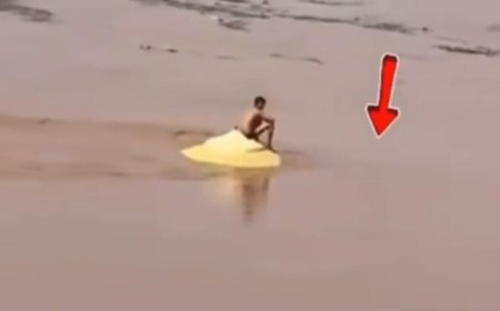 डूबते मंदिर पर बैठकर बनाई ‘मौत की रील’, चंबल की लहरों से खेलता दिखा युवक, वीडियो वायरल