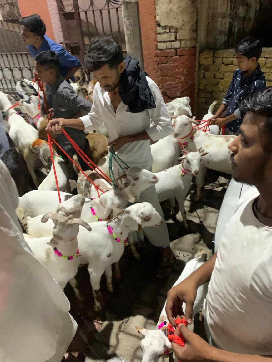 तीन दिन चलेंगी बकरीद की कुर्बानियां, हिंदुस्तानी बिरादरी ने लिया एकजुटता का संकल्प