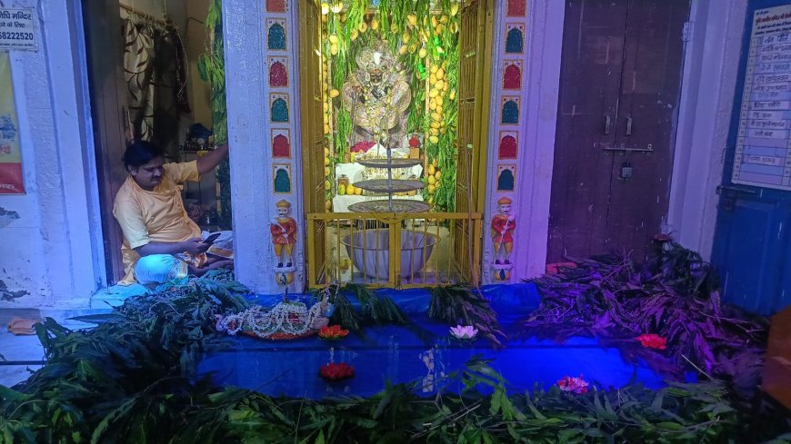 श्री श्याम बिहारी जी के नौका विहार और आम्र कुंज दर्शन से भाव विभोर हुए श्रद्धालु