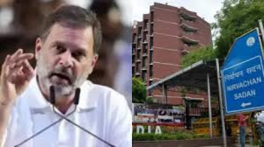 महाराष्ट्र चुनाव को मैच फिक्सिंग वाले राहुल गांधी के बयान को चुनाव आयोग ने बताया बेतुका