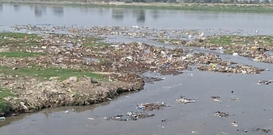 मां यमुना पुकार रही हैं: आइए, इस रविवार यानि कल उन्हें फिर से जीवन दें!