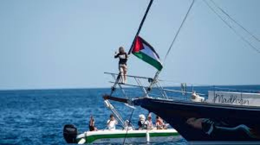 ग्रेटा थनबर्ग के जहाज समेत 12 एक्टिविस्ट इजरायल की हिरासत में