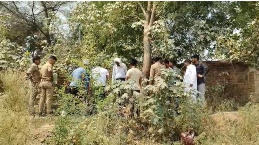 आगरा में ईंट भट्ठा मजदूर का शव पेड़ पर लटका मिला, परिजनों ने जताई हत्या की आशंका
