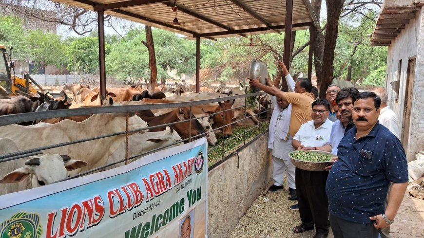 गौसेवा को समर्पित लॉयंस क्लब आगरा आकाश का अनूठा सेवा प्रकल्प