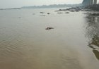 आगराः कैलाश मंदिर के पास यमुना में तैरता मिला शव, अभी पहचान नहीं हो सकी