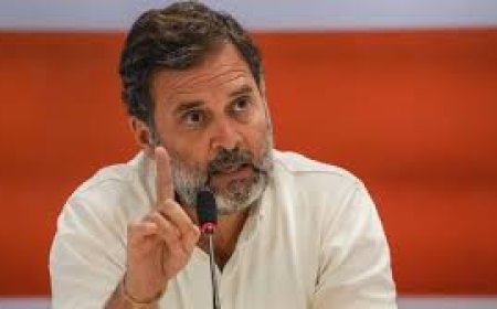 राहुल के वकील ने दी दलील, कांग्रेस की मंशा एजेएल को बेचने की नहीं बचाने की थी