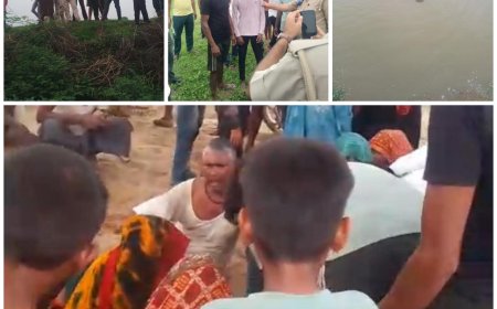 उटंगन नदी में मवेशियों को बचाने उतरे तीन दोस्त डूबे, दो बचा लिए गए, तीसरे की तलाश जारी