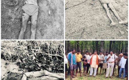 सीधी में भालू का खूनी तांडव: तीन ग्रामीणों की मौत, चार घायल, लोगों ने भालू को भी मार गिराया