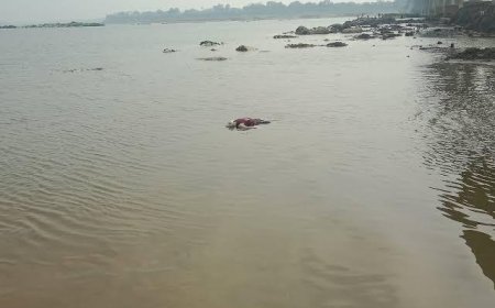 आगराः कैलाश मंदिर के पास यमुना में तैरता मिला शव, अभी पहचान नहीं हो सकी