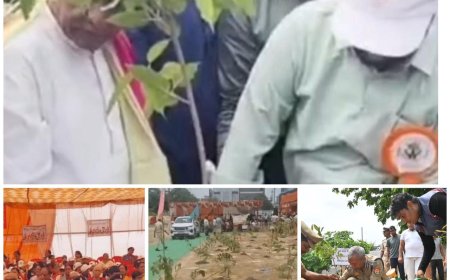 आज आगरा में लगाए जा रहे 56 लाख पौधे, हरा-भरा हो रहा जिला, मंत्री-विधायकों व अफसरों ने भी रोपे पौधे