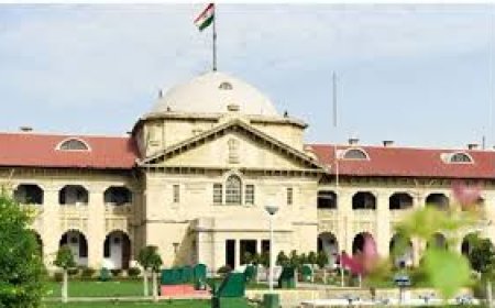 यूपी में अब गैंगस्टर एक्ट की जरूरत क्या, इलाहाबाद हाईकोर्ट उठाया सवाल