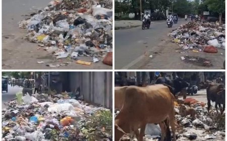 विधायक के हस्तक्षेप के बाद निगमकर्मियों व दुकानदारों में समझौता, हड़ताल वापस   