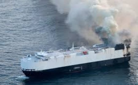 बीच समंदर धू-धू कर जलने लगा 280 यात्रियों से भरा जहाज, तीन मरे, कई फंसे