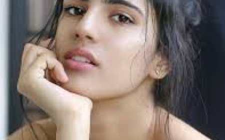 बालीवुड में अब मेधा राणा की खूबसूरती के चर्चे,  'बॉर्डर 2' में दिखेंगी