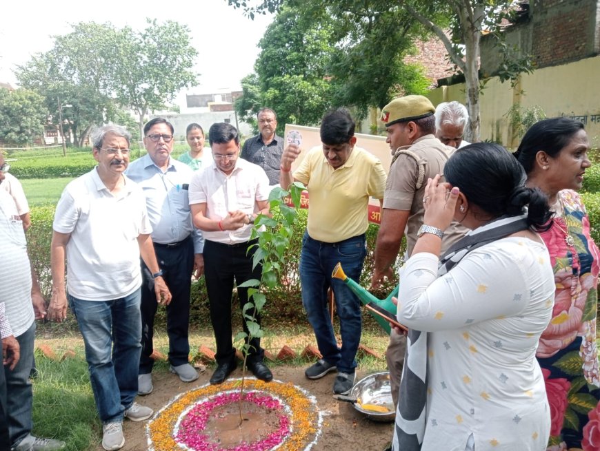 वृक्षारोपण की दिशा में एक एक कदम और: नेशनल चैम्बर का पौधे रोपने के साथ अभियान शुरू
