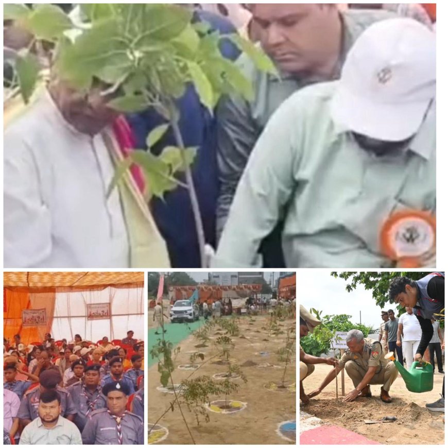 आज आगरा में लगाए जा रहे 56 लाख पौधे, हरा-भरा हो रहा जिला, मंत्री-विधायकों व अफसरों ने भी रोपे पौधे