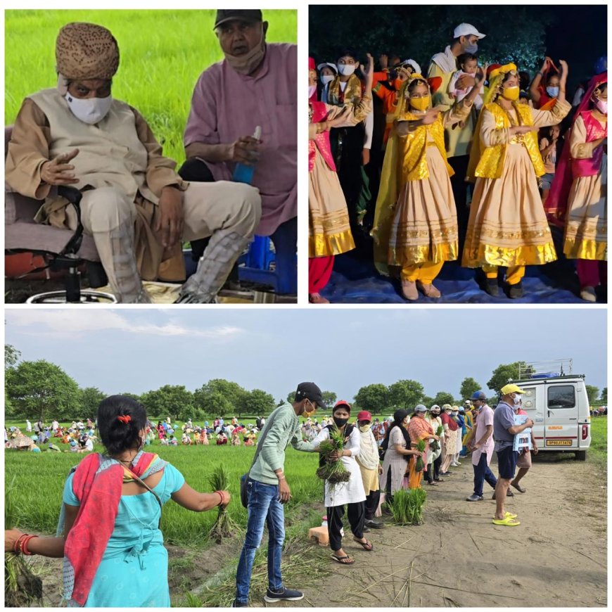 दयालबाग में सेवा-समर्पण का संगमः गुरु डॉ. एमबी लाल साहब के भंडारा पर्व पर धान रोपाई और वैश्विक संवाद