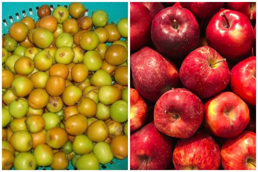 बेर से बैर, और सेब से प्यारः झूठा ताज और अनदेखी विरासत