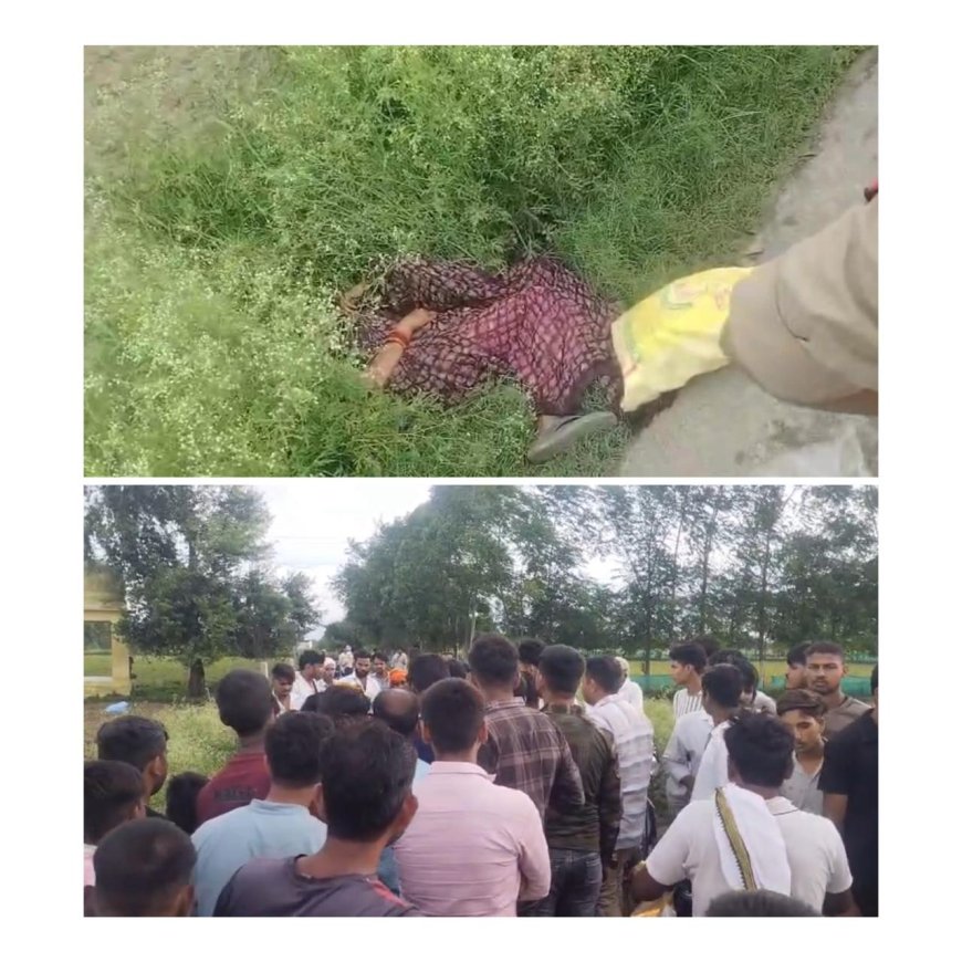 आगरा में महिला की दिनदहाड़े गोली मारकर हत्या, पति से अलग रह रही थी, कोर्ट से लौटते समय जान ली