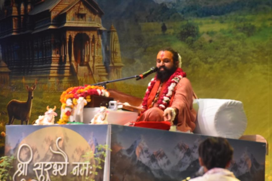 गौ महिमा महोत्सव में शिव की शरण का संदेश, फ्लोरोसेंट पेंट से गोवंश रक्षा की पहल