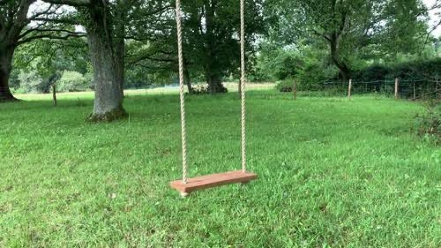 सावन की वो हरियाली यादें: जब मोहल्ले ही परिवार और पेड़ झूलों के साक्षी हुआ करते थे