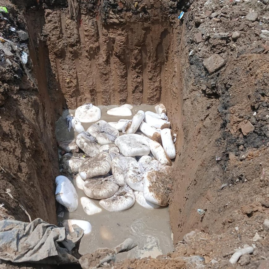 धौलपुर से आगरा लाया गया आठ कुंतल मिलावटी पनीर नष्ट कराया, लाइसेंस नहीं दिखा सका कारोबारी