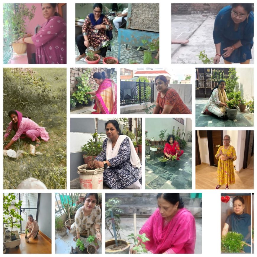 हरियाली के लिए डिजिटल जागरूकताः भार्गव महिला सभा का ऑनलाइन वृक्षारोपण