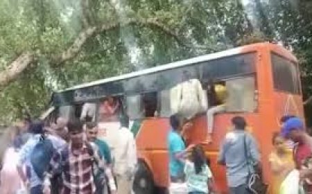 बाराबंकी में बस पर पेड़ गिरा, छह लोगों की मौत