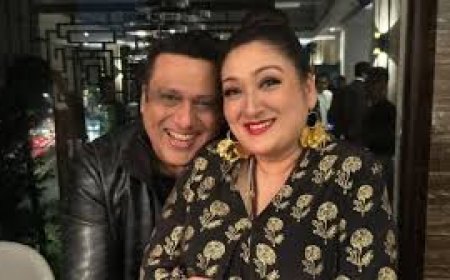 सुनीता आहूजा ने पति गोविंदा पर कर रखा है तलाक का केस फाइल