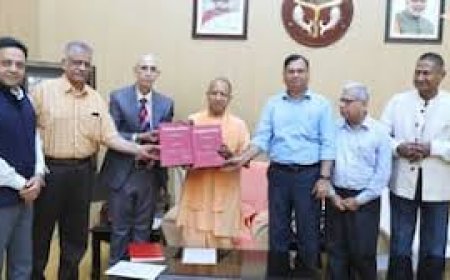 संभल कमेटी ने रिपोर्ट सीएम को सौंपी, सनसनीखेज खुलासे