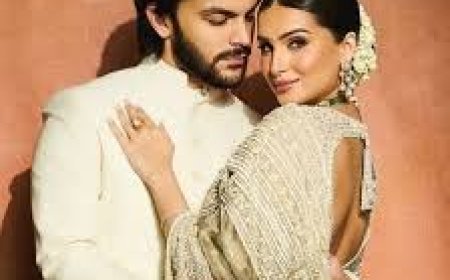 तारा सुतारिया ने गणेश चतुर्थी पर वीर पहाड़िया संग शेयर की तस्वीरें, लोगों ने पूछा- गणपति कहां हैं?