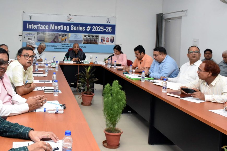 आवारा पशुओं पर नियंत्रण को नसबंदी ही एकमात्र विकल्प: 12 राज्यों के वैज्ञानिकों का साझा मंथन