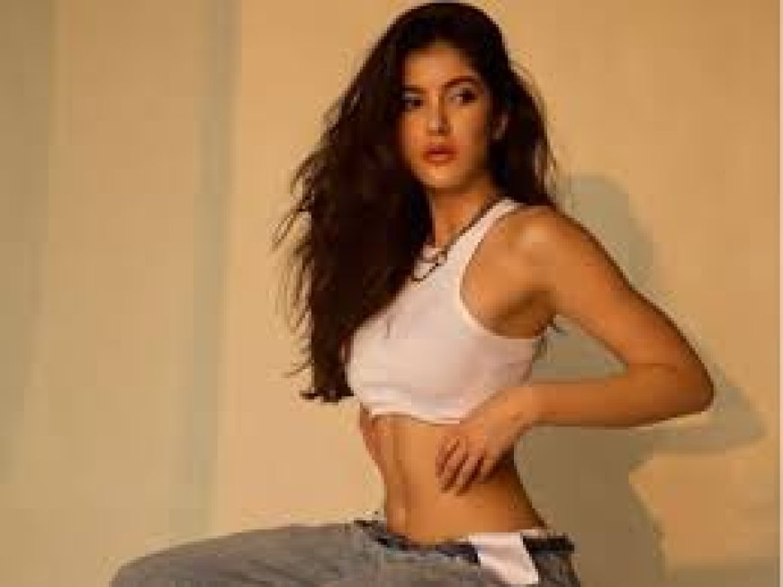 अब नए प्रोजेक्ट में बिजी हैं शनाया कपूर