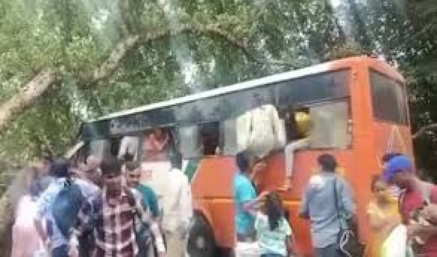 बाराबंकी में बस पर पेड़ गिरा, छह लोगों की मौत