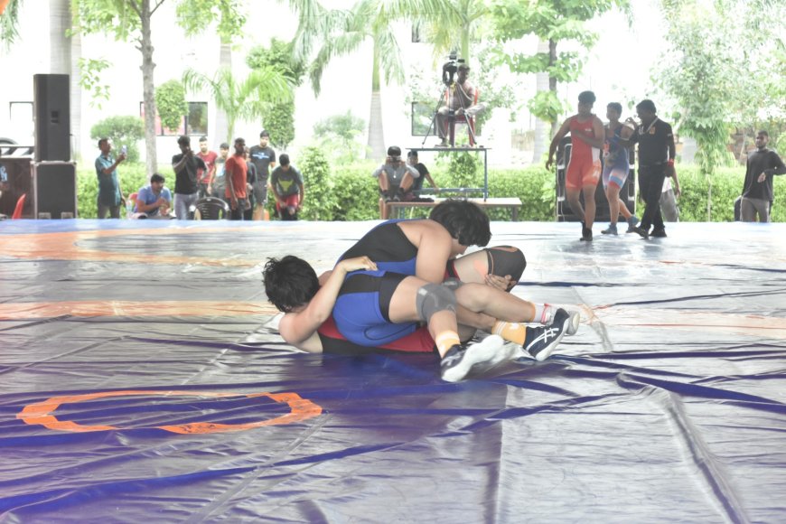 प्रदेश कुश्ती चैंपियनशिप में महिला पहलवानों का जलवा, पहले दिन सात वर्गों में बंटी बाजी