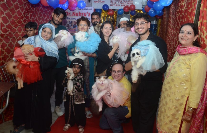 रैंप पर म्याऊं-म्याऊं: सिया, रॉबिन और एंजेल बनीं वर्ल्ड कैट डे की कैटवॉक क्वीन