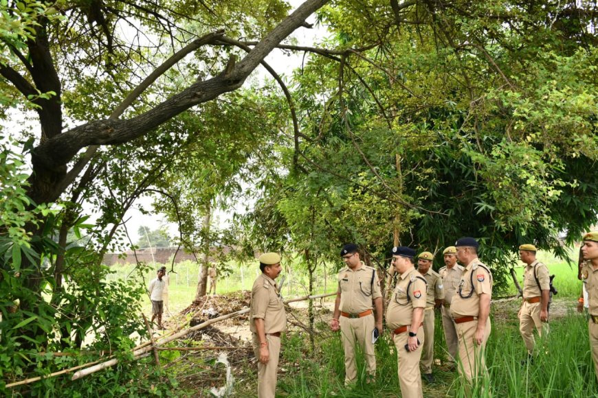 बदायूं में एक प्रेम कहानी का दर्दनाक अंत, पेड़ की एक ही डाल पर लटके मिले युवक-युवती के शव