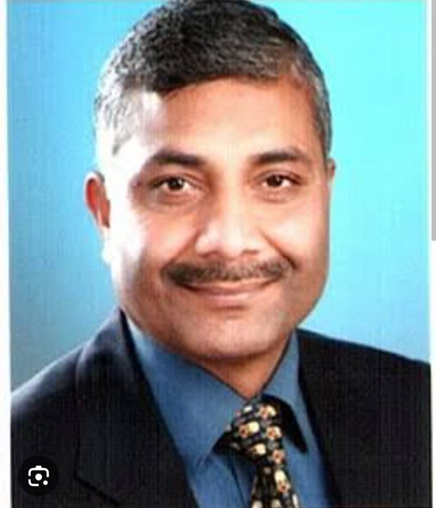 राजस्थान-पंजाब में फैल रहा जानलेवा अफ्रीकन स्वाइन फीवर, सुअरों में 90% तक मौत का खतरा