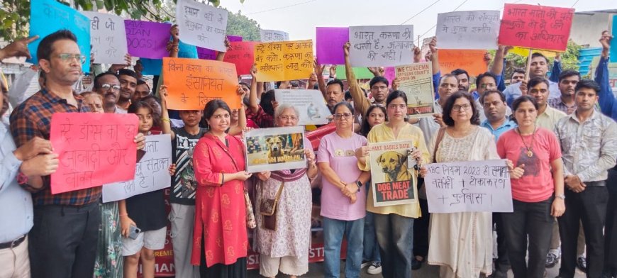 आगरा में जानवरों के समर्थन में सड़कों पर उतरे एनिमल लवर्स, पैदल मार्च निकाला