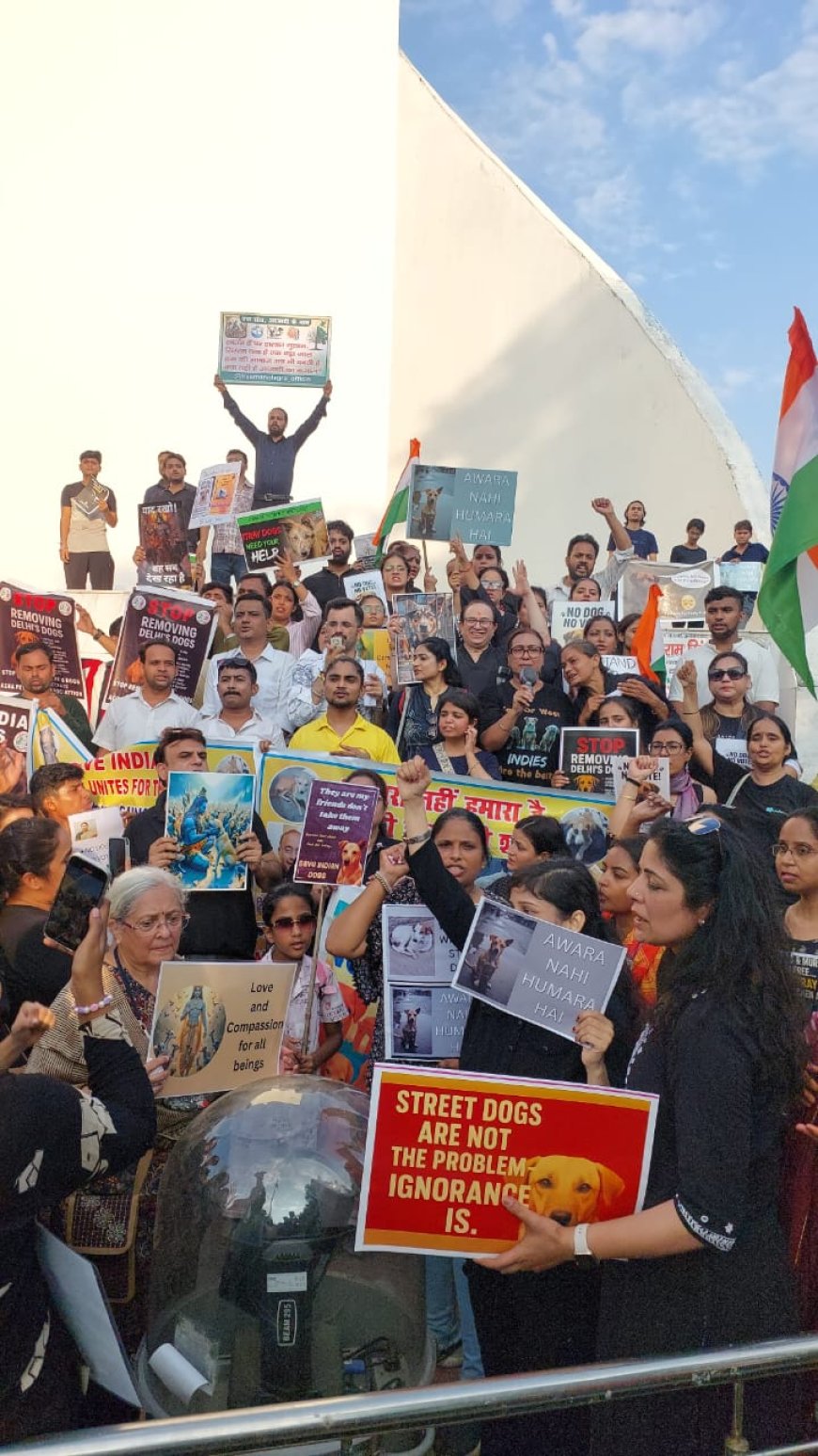 एमसीडी के देसी श्वान कैद आदेश के विरोध में 150 से अधिक पशु प्रेमियों ने निकाली रैली, सौंपा ज्ञापन