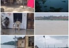 आगरा में यमुना का रौद्र रूपः कैलाश मंदिर समेत तमाम गांवों में घुसा बाढ़ का पानी, नाले बैक मार रहे   