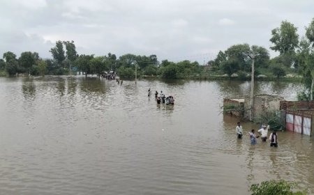 बांध, बारिश और बर्बादी : जल शक्ति मंत्रालय की नाकामी से डूबता जनजीवन