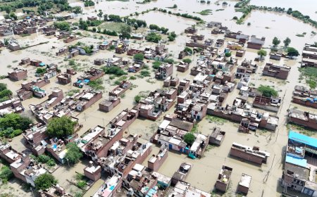 इस साल की बाढ़ और हमारी ग़फ़लतः ध्यान रखिए, नदियां अपना रास्ता नहीं भूलतीं हैं!